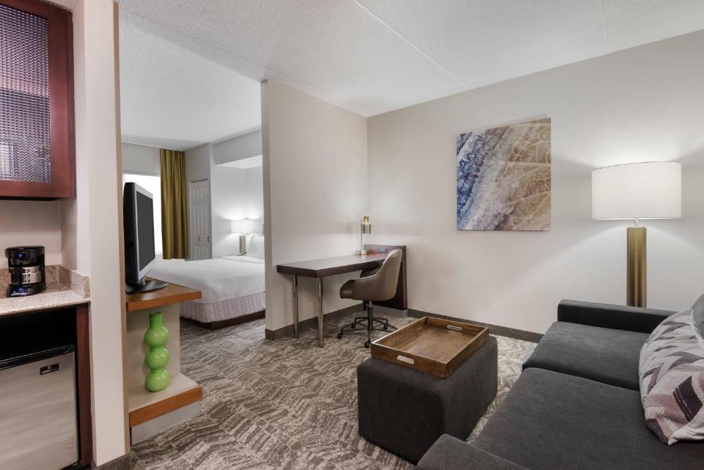 King Suite with Trundle Sofa interior